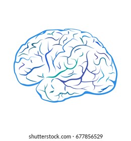 Blue outline brain mark. Isolated on white background
