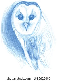 Blue owl sketch. In vector. For stickers, postcard, print on t-shirt, poster.