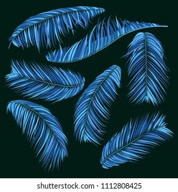 Blue Palm Branches in Various Forms. Tropic Foliage. Illustration of Jungle Plants. Vector Palm Leaves. Floral Elements Set. Detailed Palm Leaves for Pattern, Wallpaper, Print or Your Creative Design