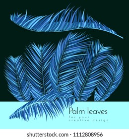 Blue Palm Branches in Various Forms. Tropic Foliage. Illustration of Jungle Plants. Vector Palm Leaves. Floral Elements Set. Detailed Palm Leaves for Pattern, Wallpaper, Print or Your Creative Design