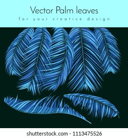 Blue Palm Branches in Various Forms. Tropic Foliage. Illustration of Jungle Plants. Vector Palm Leaves. Floral Elements Set. Detailed Palm Leaves for Pattern, Wallpaper, Print or Your Creative Design