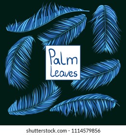 Blue Palm Branches in Various Forms. Tropic Foliage. Illustration of Jungle Plants. Vector Palm Leaves. Floral Elements Set. Detailed Palm Leaves for Pattern, Wallpaper, Print or Your Creative Design