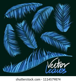Blue Palm Branches in Various Forms. Tropic Foliage. Illustration of Jungle Plants. Vector Palm Leaves. Floral Elements Set. Detailed Palm Leaves for Pattern, Wallpaper, Print or Your Creative Design
