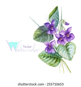 Blue pansy viola flowers bouquet, vector watercolor illustration