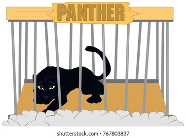 blue Panther in the zoo