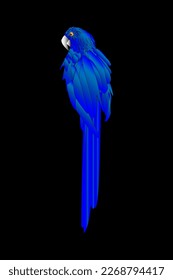 blue parrot  art vector illustration 
