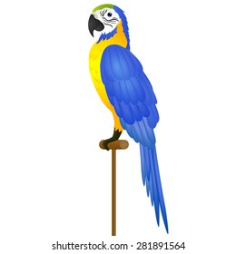 Blue parrot isolated.Vector isolated.