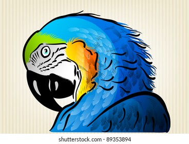 blue parrot on the background