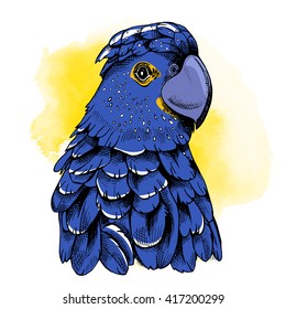 Blue Parrot portrait. Vector illustration.