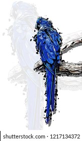 Blue parrot sitting on a tree branch realistic colorful hand-drawn sketch style isolated vector illustration with big transparent parrot background