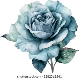 Blue Pastel Rose Flower Watercolor Illustration