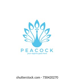 Blue peacock. Logo. Isolated peacock on white background