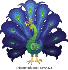 blue peacock with open tail