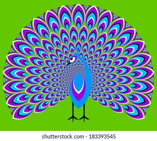 Blue peacock (optical expansion illusion)