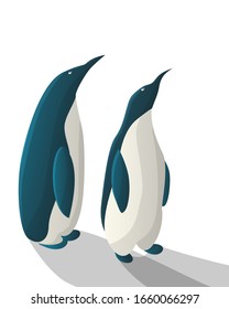 Pingüinos azules mirando sobre fondo blanco