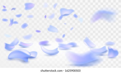 Blue petals fall on a surface on a transparent background, spring blossom