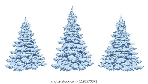 Blue pine in frost. Firs in the snow. Winter forest. Christmas decorations. On a white background. Template. A set for festive design and decoration.  Vector. Eps 10.