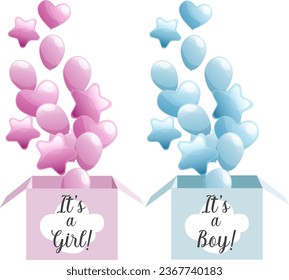 Blue and pink boxes for gender reveal party with boy and girl texts and air balloons isolated