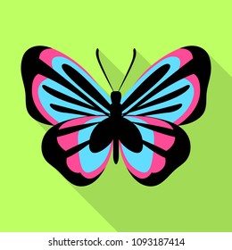 Blue pink butterfly icon. Flat illustration of blue pink butterfly vector icon for web design