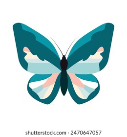 Una mariposa azul y rosa está posada sobre un fondo blanco.