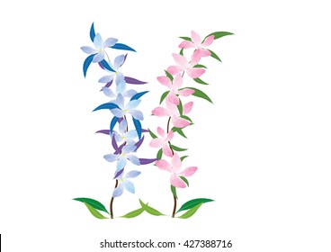 blue and pink flowers