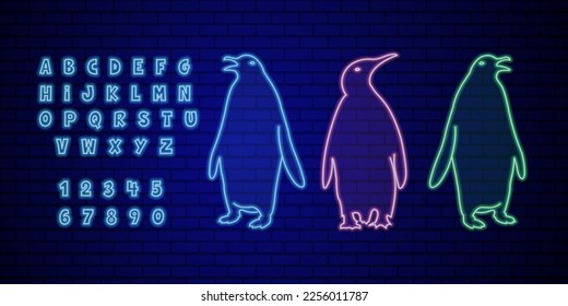 Blue, pink, green Penguin birds and alphabet neon light sign vector. Glowing bright icon penguin bird sign.