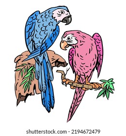 Blue and pink parrots vector for card, decoration, illustration