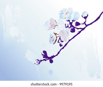 Blue and pink Spring blossoms on blue gradient back