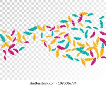 Blue pink yellow feather ethnic background vector print. Gentle background with plumelet. Flying feather elements cute vector design for card, banner.