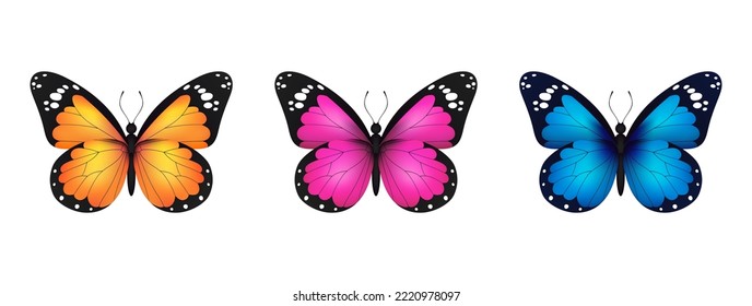 Blue, pink, yellow realistic flying monarch butterfly set on a white background. Vector illustration. Decorative print design. Colorful fairy wings.