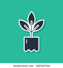 Blue Plant in bottle icon isolated on green background. Seed and seedling. Leaves sign. Leaf nature. Vector Illustration Blue Plant in bottle icon isolated on green background. Seed and seedling. Leaves sign. Leaf nature. Vector Illustration
