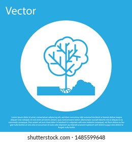 Blue Planting a tree in the ground icon isolated on blue background. Gardening, agriculture, caring for environment. White circle button. Vector Illustration