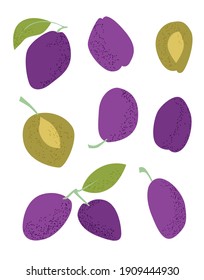 Blue plums flat on white background. Flat vector illustration. Autumn background. Flat top view. Isolated illustration. Cartoon vector illustration. Organic food.
