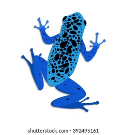 Rana de dardo con veneno azul, diseño plano. Imagen vectorial de la rana azul sobre fondo blanco. Rana envenenada. Rana de árbol aislada dendrobates azureus, vista superior