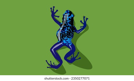 Blue poison dart frog, high quality vector
