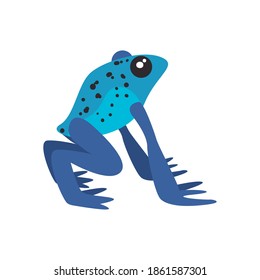 blue poison dart frog on white background vector illustration design