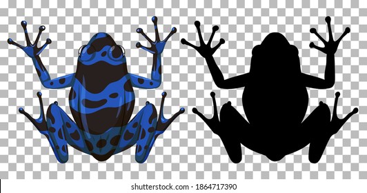 Blue poison dart frog with its silhouette on transparent background illustration