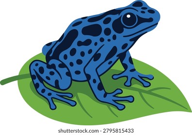 Blue poison dart frog sitting on a green leaf, colorful amphibian wildlife vector illustration isolated on light background.	
