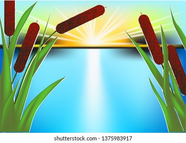 blue pond with canes against a sunny sky