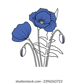 blue poppy flower and bouquet