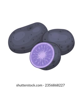 Blue potato vector illustration, isolated on white background.