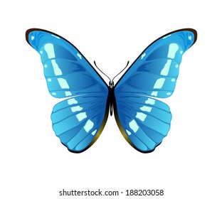 Blue pretty butterfly isolated on a white background, illustration.