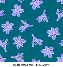Blue Purple Agapanthus on Green Teal Background. Vector Illustration.