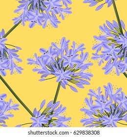 Blue Purple Agapanthus on Yellow Background. Vector Illustration.