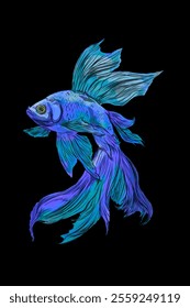 blue and purple betta fish with dark background