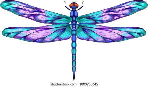 blue purple dragonfly with delicate wings vector illustration 