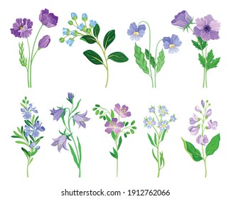 Blue and Purple Flowers on Green Stem as Meadow or Field Plant Vector Set