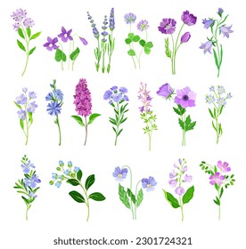 Blue and Purple Flowers on Green Stem as Meadow or Field Plant Big Vector Set