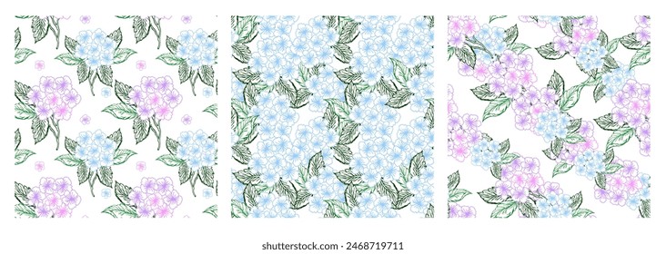 Hidrangea azul y púrpura flor violeta patrón sin fisuras conjunto con línea de arte flor de color. Fondo de Vector de flor pequeña