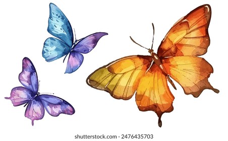 Blue purple and orange butterfly illustration vector set. Flying butterflies isolated on white. Summer insects.